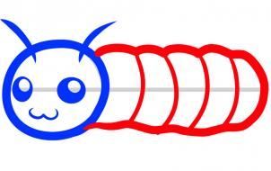 第四步：毛毛蟲(chóng)簡(jiǎn)筆畫(huà)法步驟