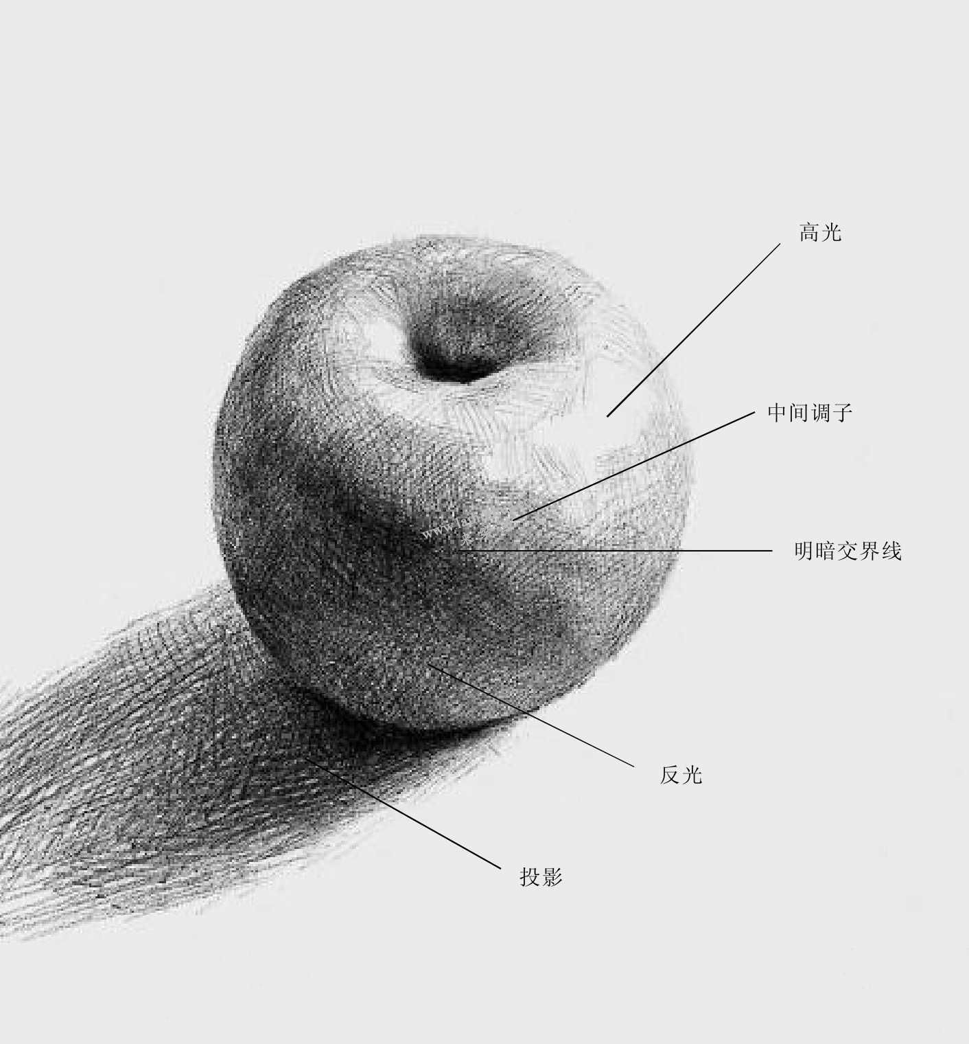 素描明暗關(guān)系分析