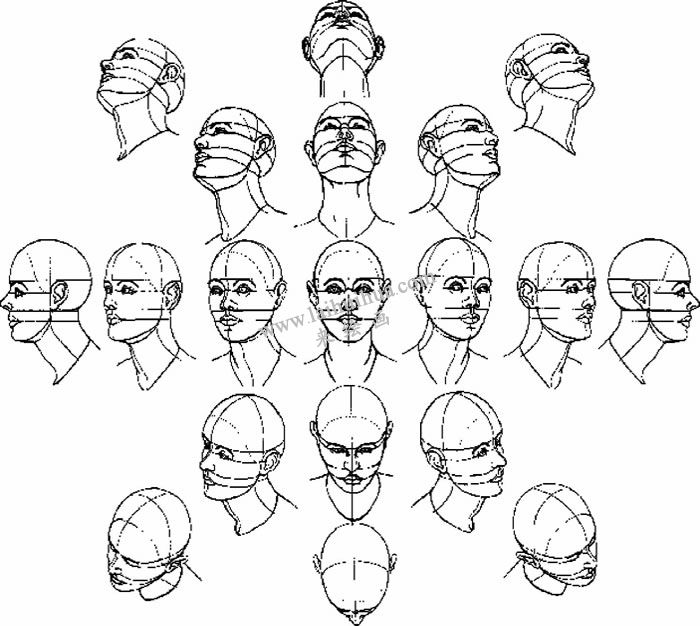 素描頭部的透視變化