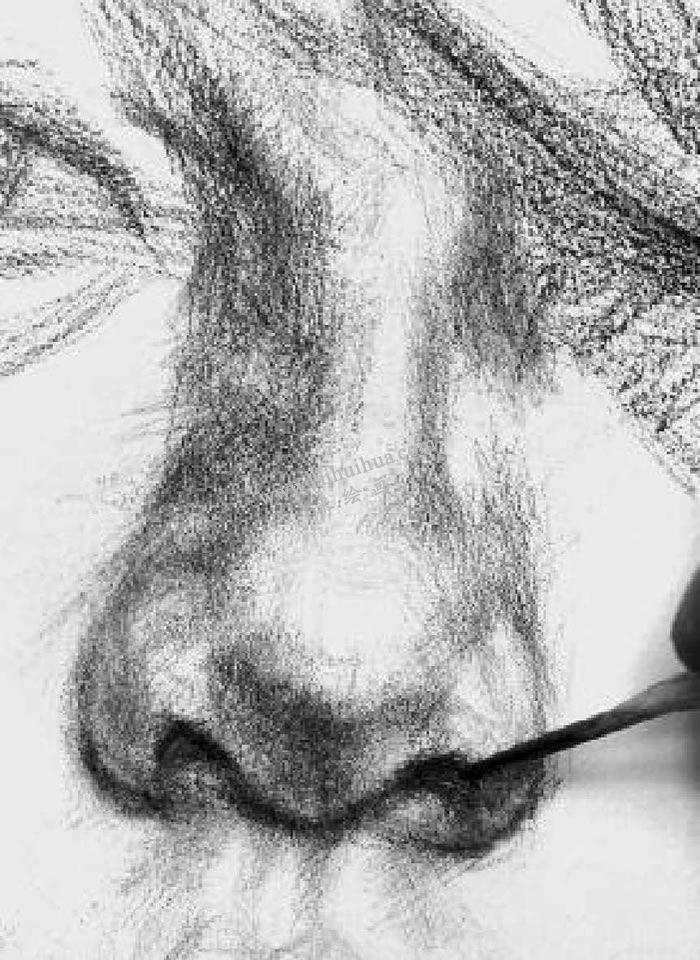 素描頭像寫生步驟7