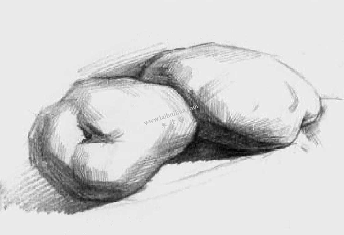 素描兩個(gè)土豆 步驟四