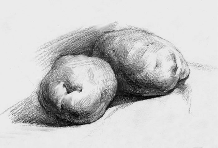 土豆素描畫法（一）