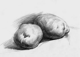 土豆素描畫法（一）