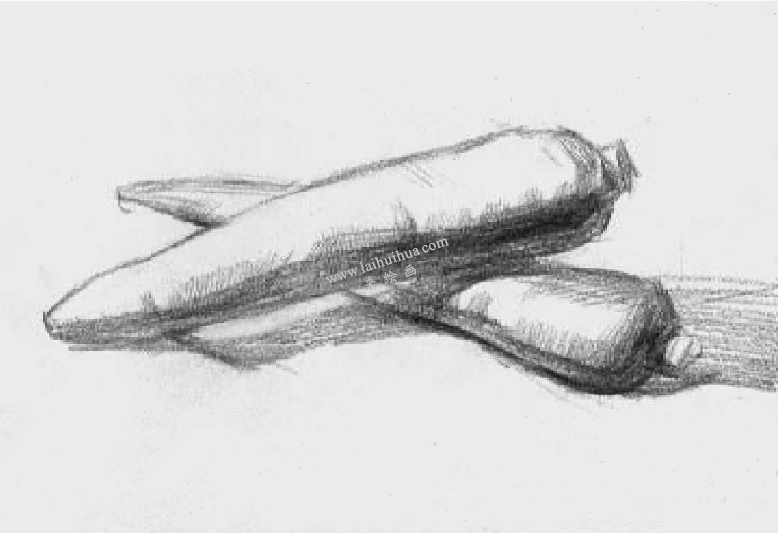 素描兩個(gè)胡蘿卜 步驟四