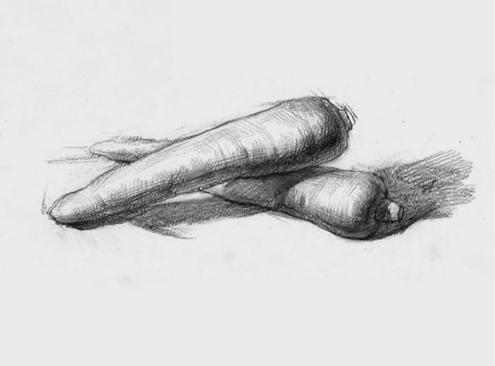 素描胡蘿卜（一）