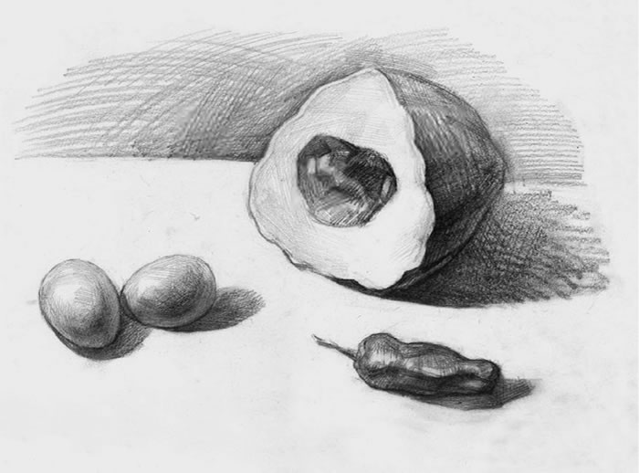 素描南瓜、雞蛋和辣椒