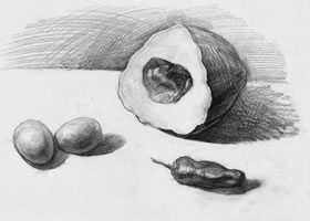素描南瓜、雞蛋和辣椒
