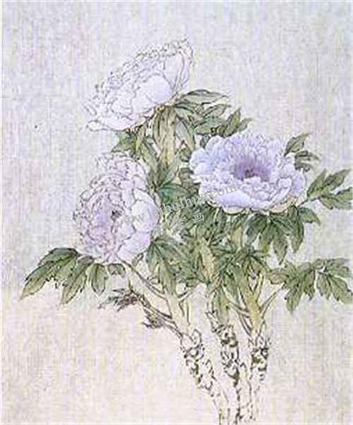 牡丹國畫第七步畫法