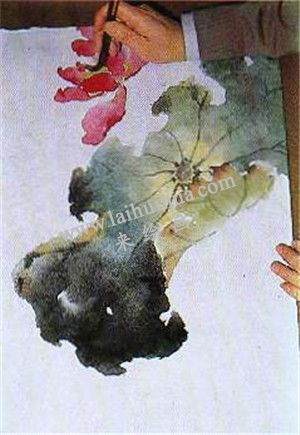 國畫荷花繪畫步驟第五步