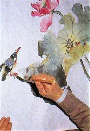 國畫荷花繪畫步驟第八步