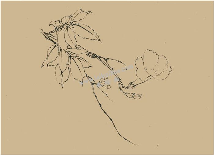凌霄花的國畫畫法 步驟一