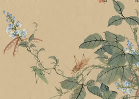 豆花國畫畫法范例