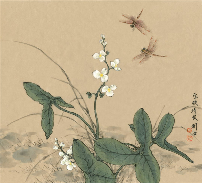 慈姑花國畫畫法