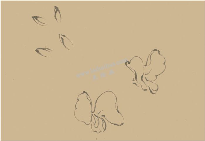 鳳仙花國(guó)畫畫法  步驟一