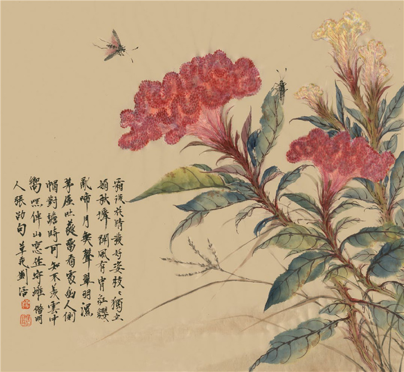 雞冠花國畫畫法范例