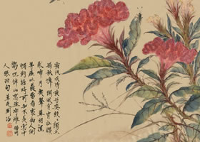 雞冠花國畫畫法范例