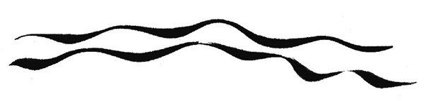 中國國畫基礎(chǔ)筆法：提按練習(xí)