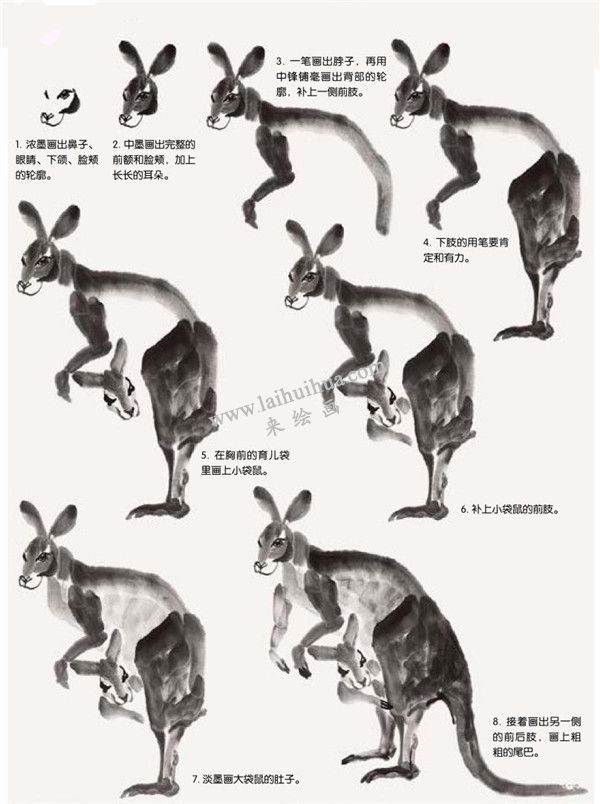 袋鼠的國畫畫法步驟