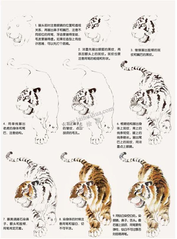 老虎的國畫畫法步驟