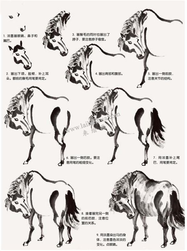 馬的國畫畫法步驟