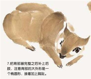 松鼠的國畫畫法 步驟七