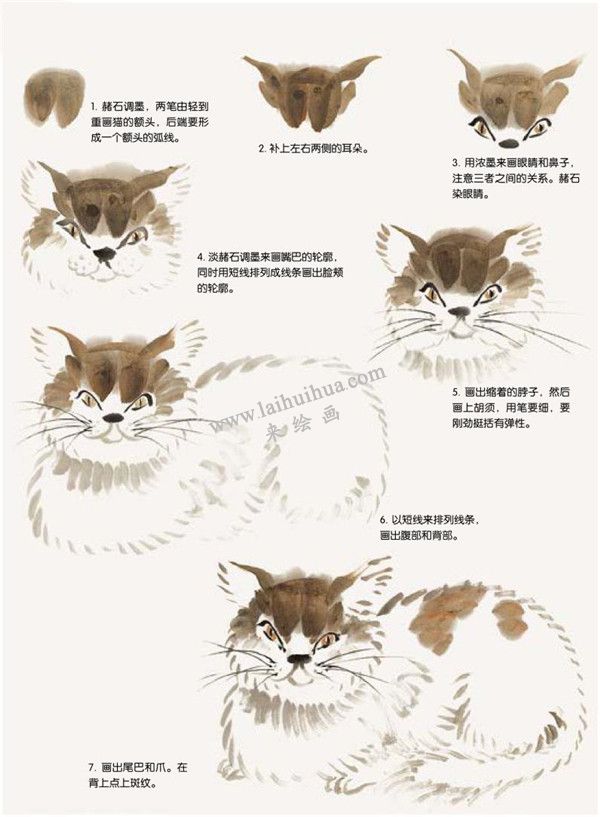 貓的國畫畫法步驟