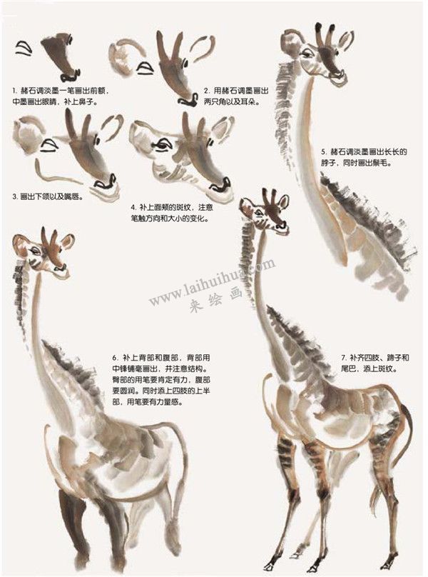 長(zhǎng)頸鹿的國(guó)畫(huà)畫(huà)法步驟