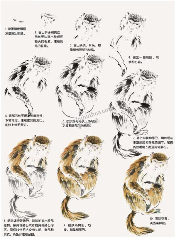 猴子的國畫畫法步驟
