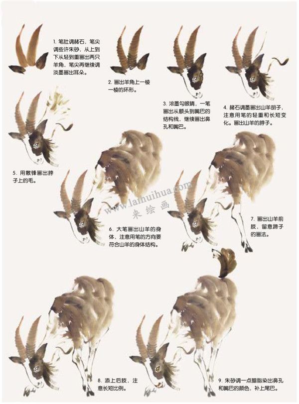 山羊的國畫畫法步驟