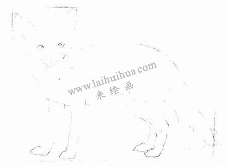 素描狡猾的狐貍畫法步驟 二