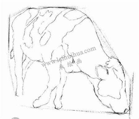 奶牛的素描畫(huà)法步驟 二