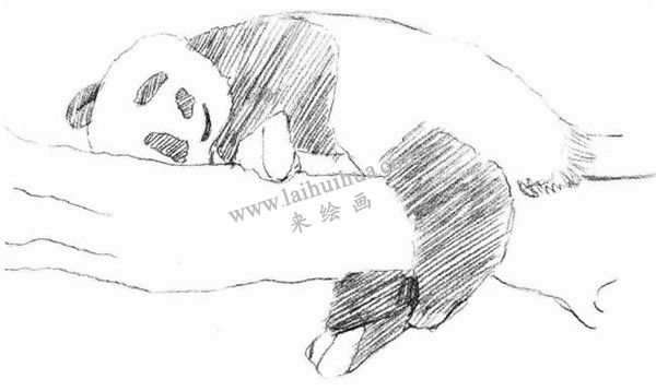 大熊貓的素描畫(huà)法步驟 三