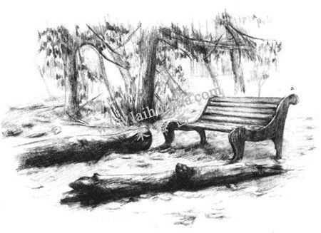 公園一角的素描繪畫方法步驟 八
