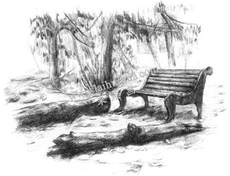 公園一角的素描繪畫方法步驟 十