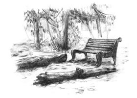 公園一角的素描繪畫方法步驟