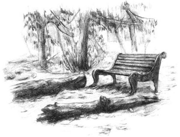 公園一角的素描繪畫方法步驟