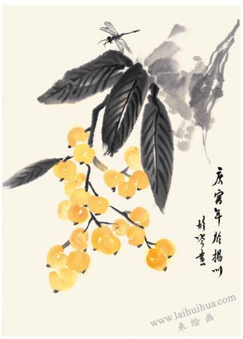 枇杷的國(guó)畫畫法 步驟四