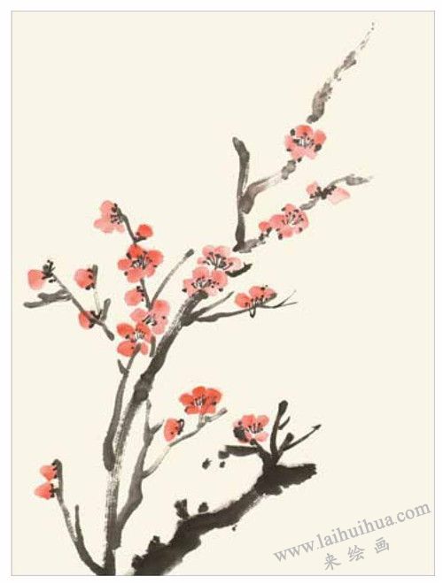 梅花的國畫畫法  步驟二