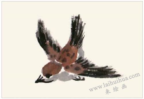 麻雀的國(guó)畫畫法  步驟一