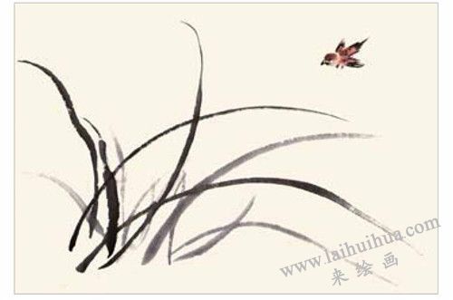 蘭花的國畫畫法  步驟三