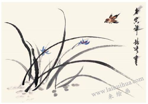 蘭花的國畫畫法  步驟四