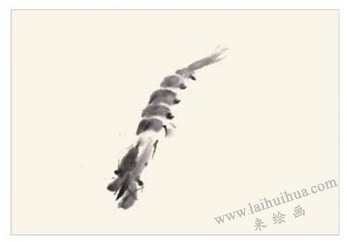 蝦的國畫畫法  步驟一