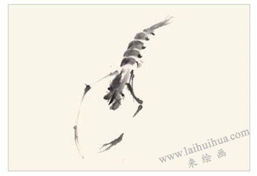 蝦的國畫畫法  步驟二