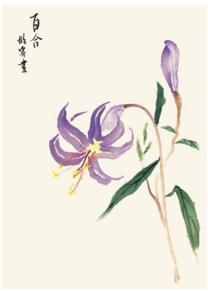 百合的國畫畫法