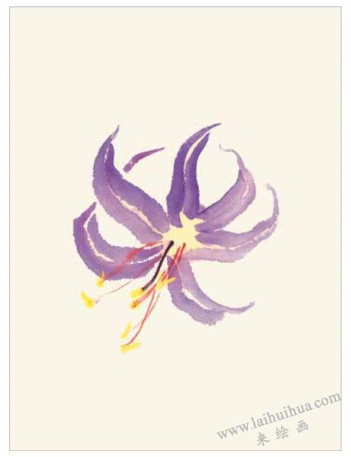 百合的國畫畫法 步驟一