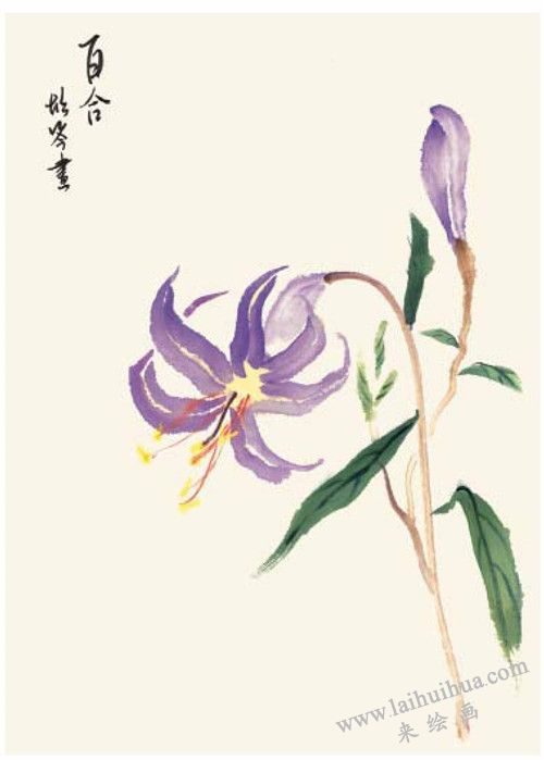 百合的國畫畫法 步驟四