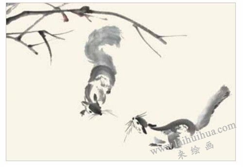 小松鼠國畫的畫法步驟三