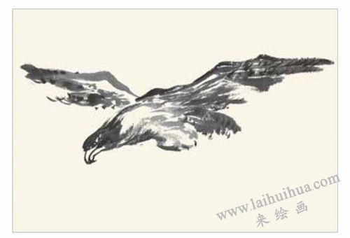 老鷹的國(guó)畫(huà)畫(huà)法 步驟一