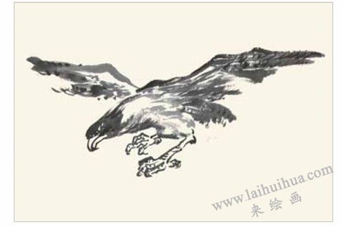老鷹的國(guó)畫(huà)畫(huà)法 步驟二