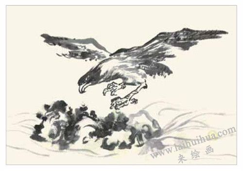 老鷹的國(guó)畫(huà)畫(huà)法 步驟三
